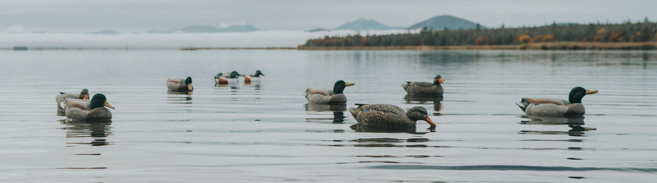 Final Approach Waterfowl Hunting Decoys