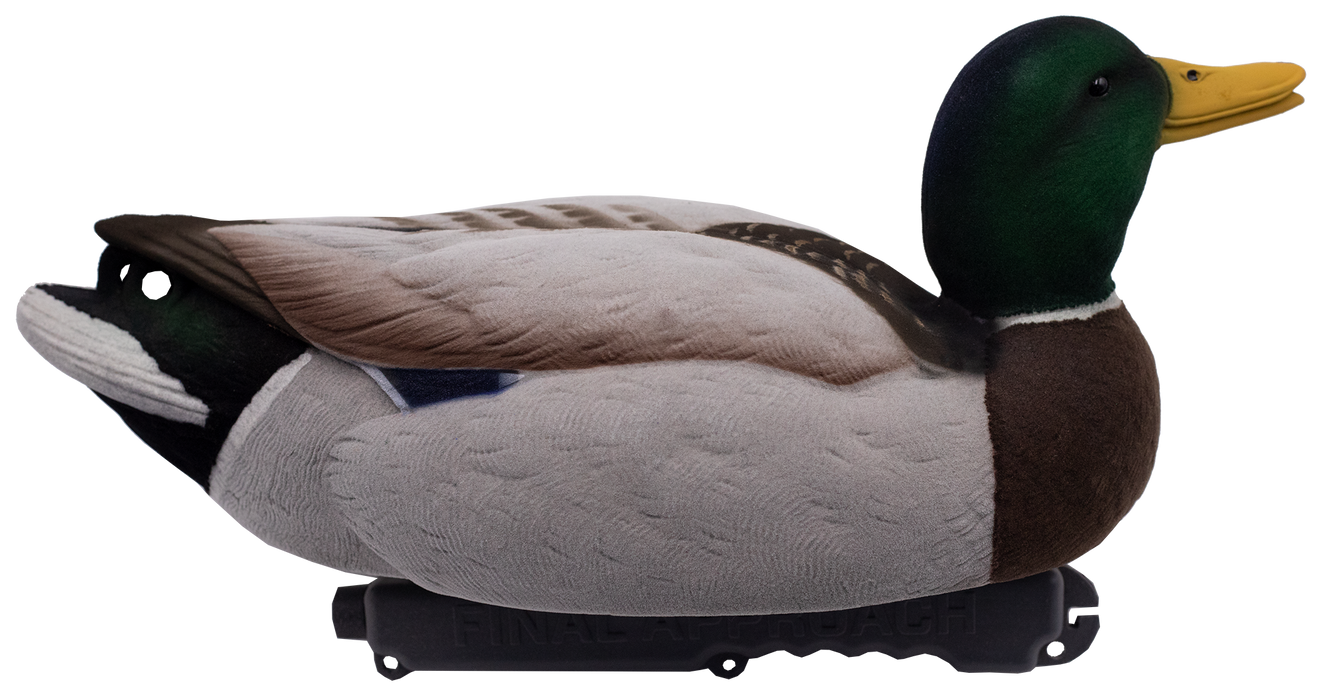 LIVE Fully Flocked Floating Mallards - 6 Pack