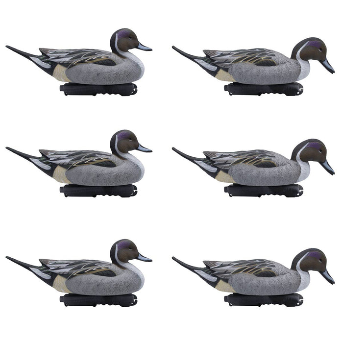 HD Pintail Floating Duck Decoys, 6 Pack