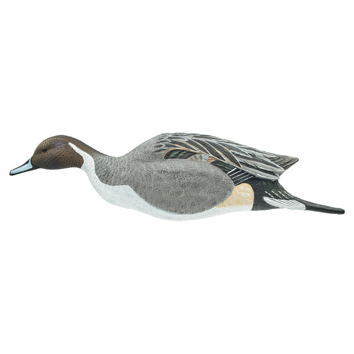Full Body Pintail Decoys, 6 Pack