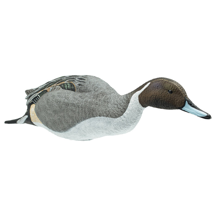 Full Body Pintail Decoys, 6 Pack
