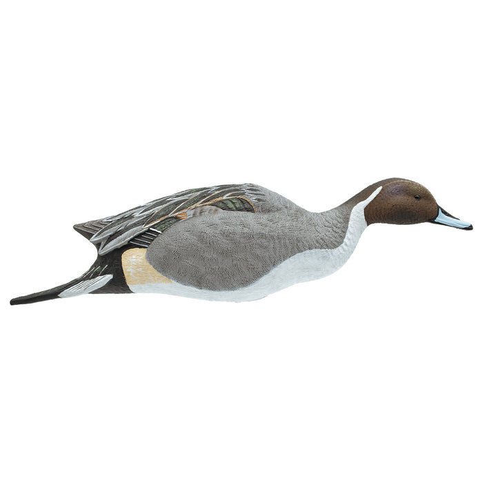 Full Body Pintail Decoys, 6 Pack