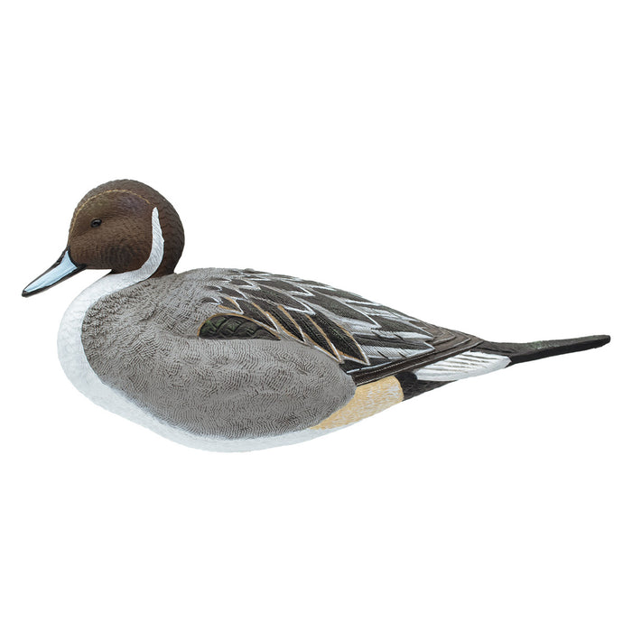 Full Body Pintail Decoys, 6 Pack