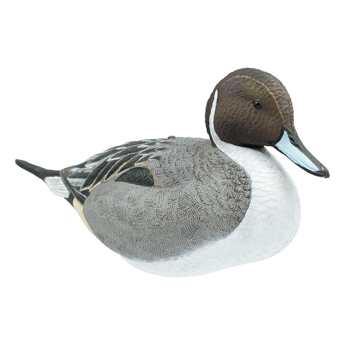 Full Body Pintail Decoys, 6 Pack