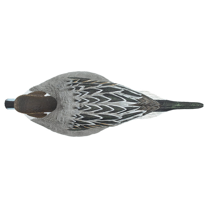 Full Body Pintail Decoys, 6 Pack
