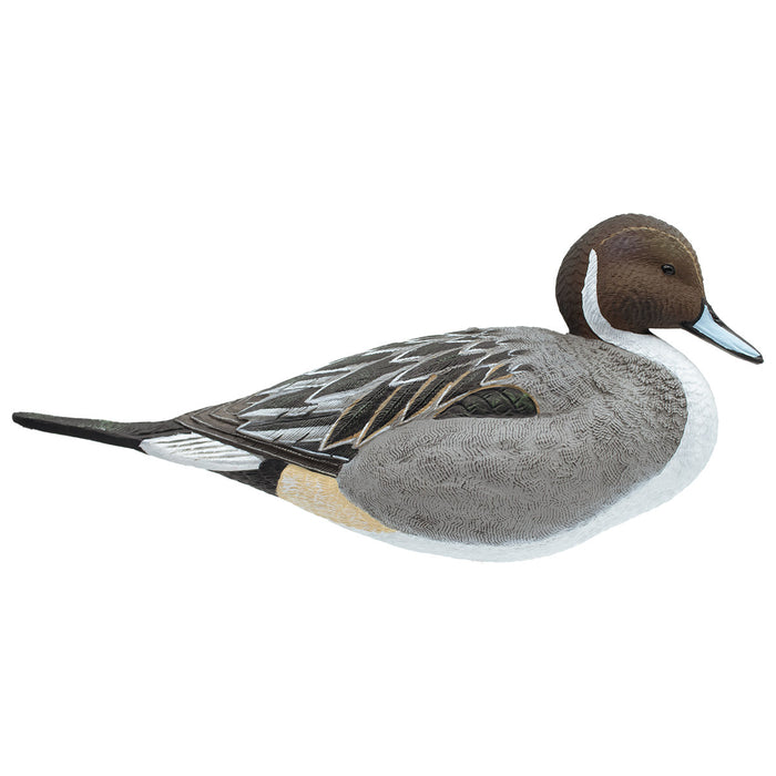 Full Body Pintail Decoys, 6 Pack