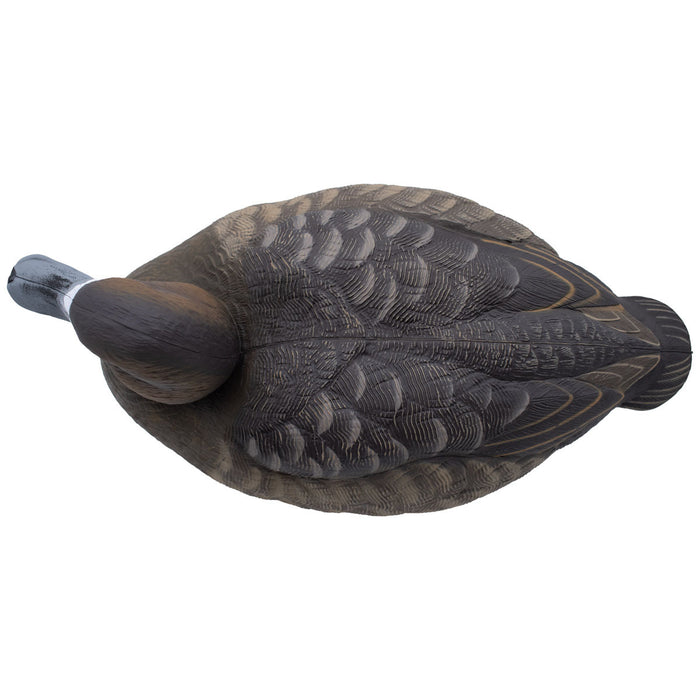 LIVE Foam Filled Bluebills - 6 Pack