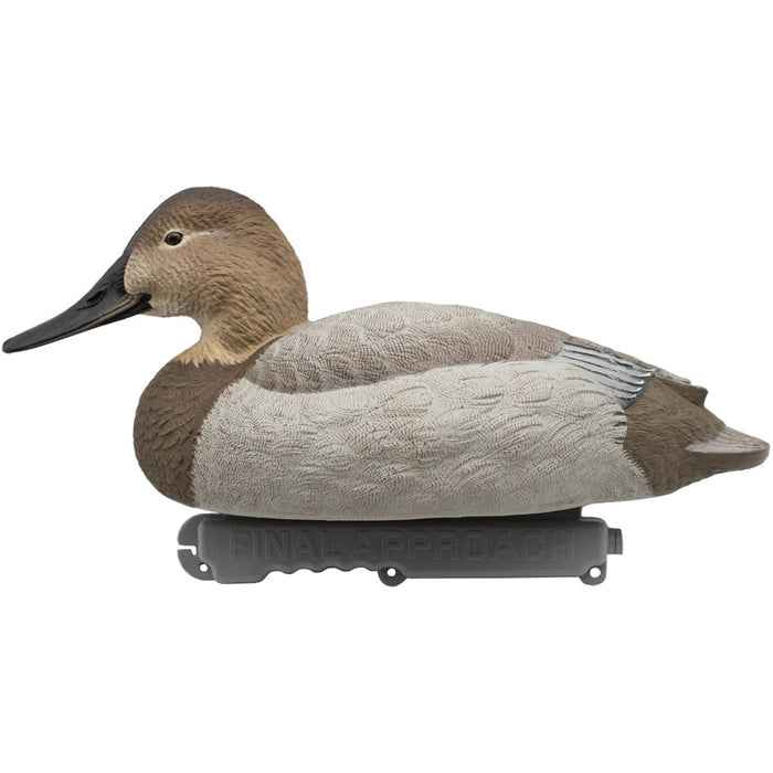 LIVE Foam Filled Canvasbacks - 6 Pack
