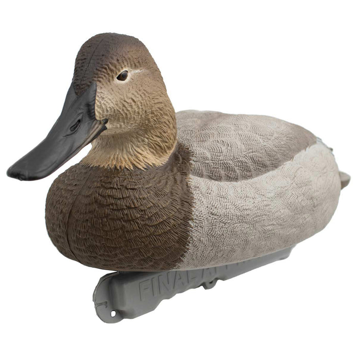 LIVE Foam Filled Canvasbacks - 6 Pack
