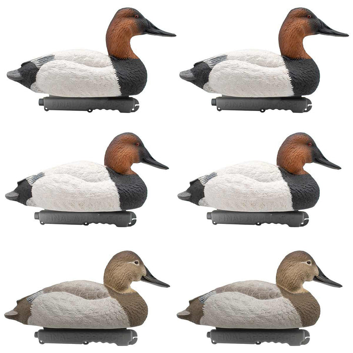 LIVE Foam Filled Canvasbacks - 6 Pack