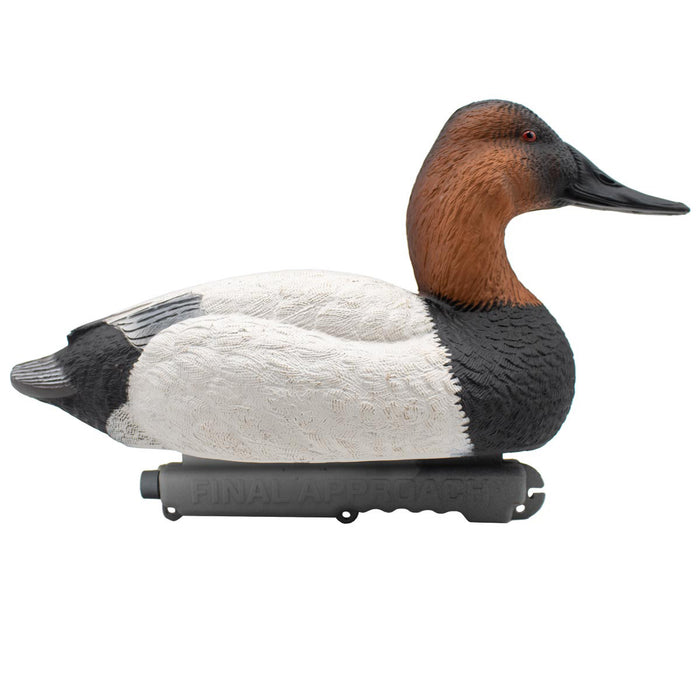 LIVE Foam Filled Canvasbacks - 6 Pack