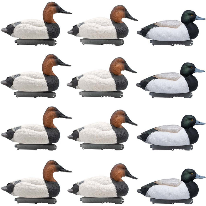 LIVE Foam Filled Drake Diver Duck Decoys - 12 Pack