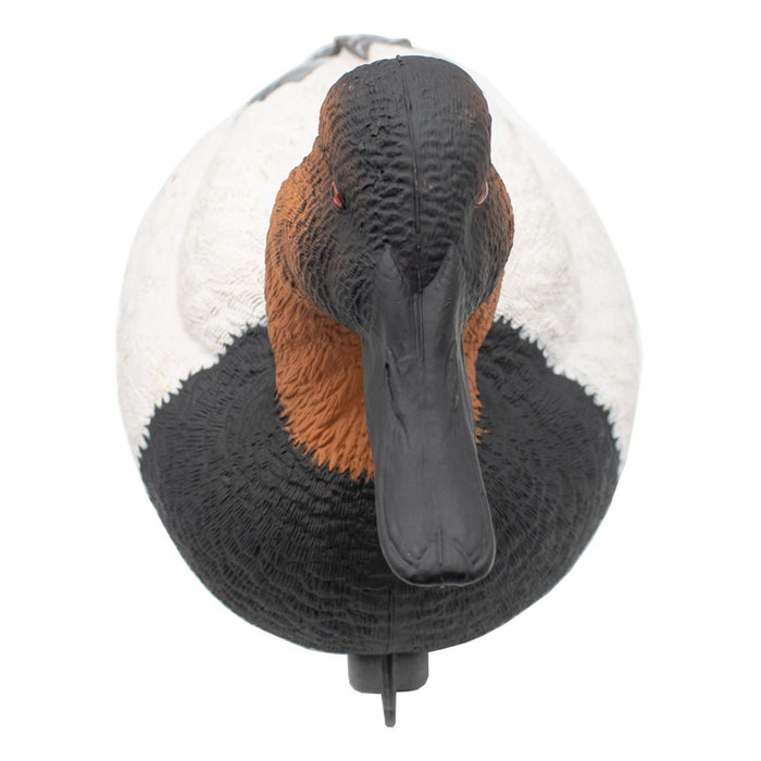 LIVE Foam Filled Drake Diver Duck Decoys - 12 Pack