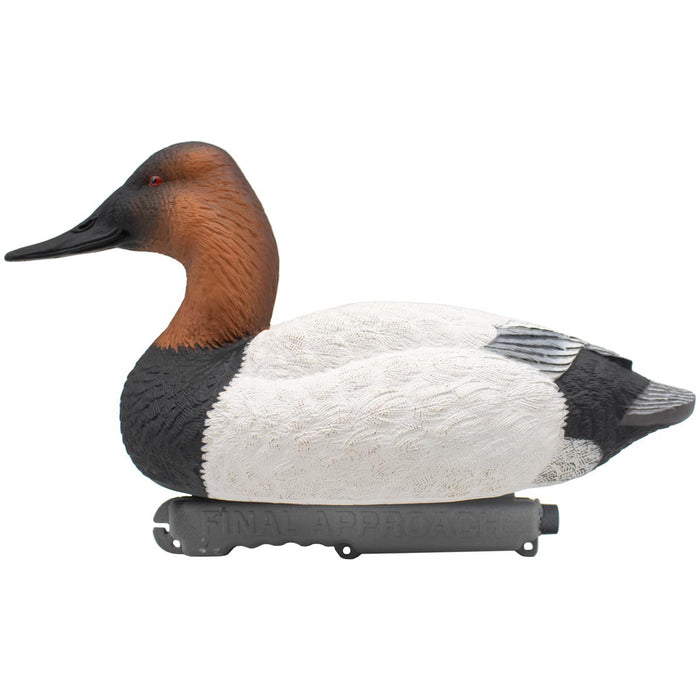 LIVE Foam Filled Drake Diver Duck Decoys - 12 Pack