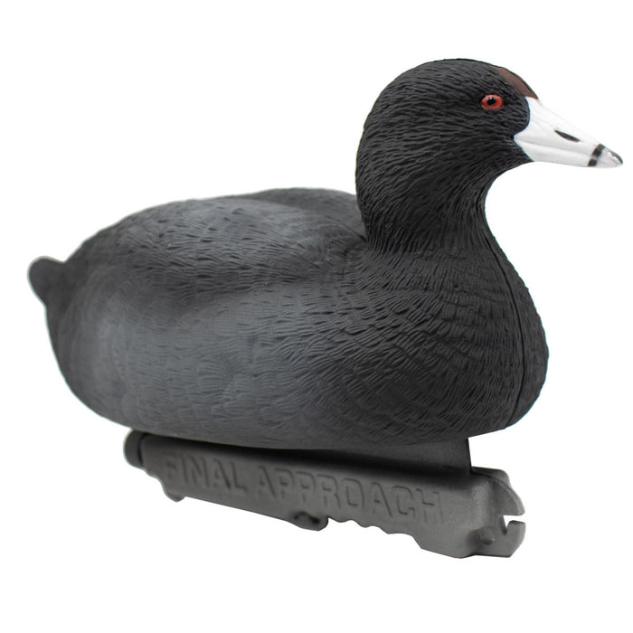 Last Pass Floating Coots Decoys - 12 Pack