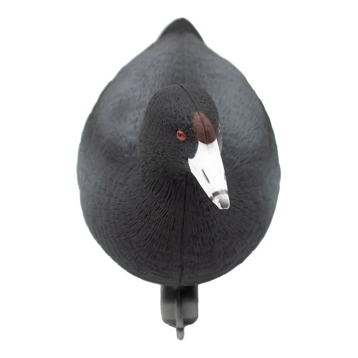 Last Pass Floating Coots Decoys - 12 Pack