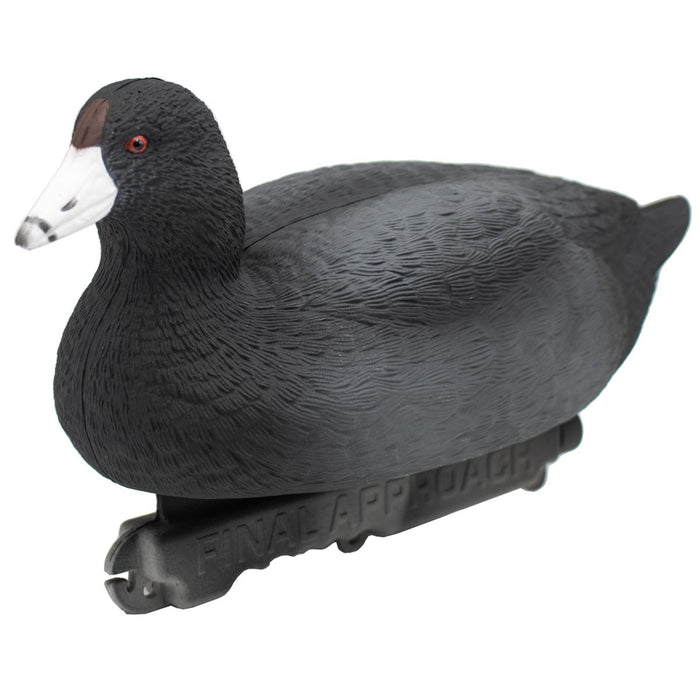 Last Pass Floating Coots Decoys - 12 Pack