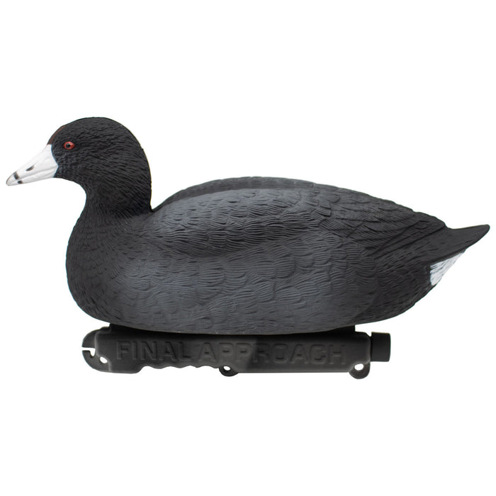 Last Pass Floating Coots Decoys - 12 Pack