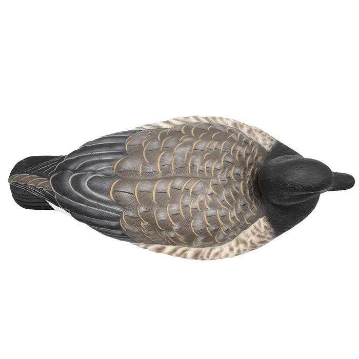 Last Pass Brant Goose Floater - 6 Pack