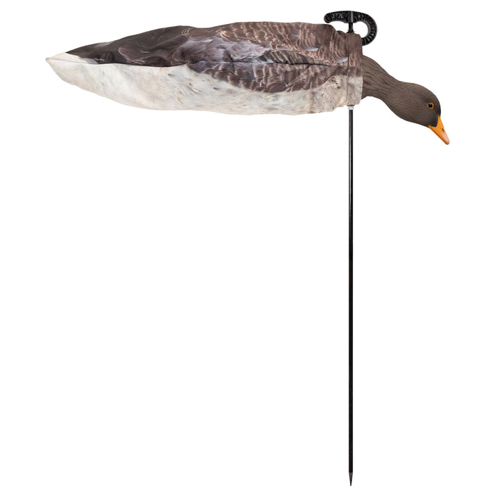 Live Greylag Socks with 3D Heads