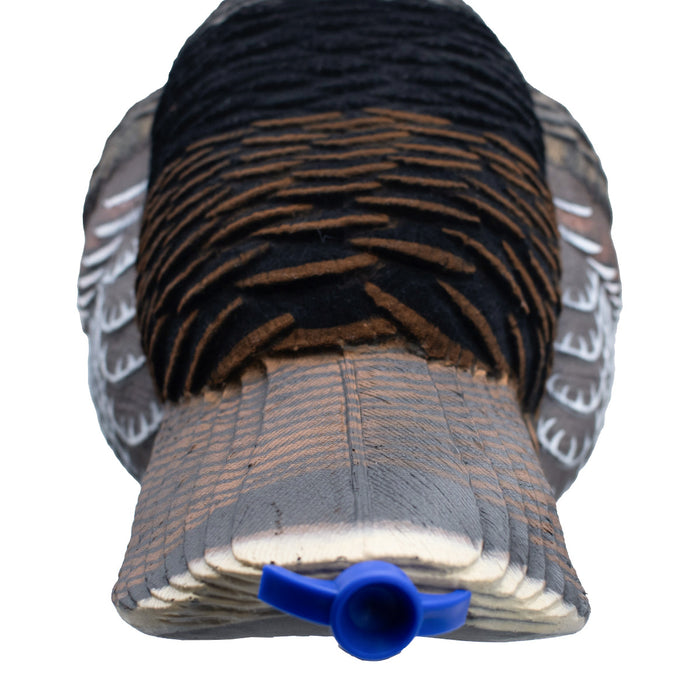 Live Jake Turkey Decoy with Flocked Back