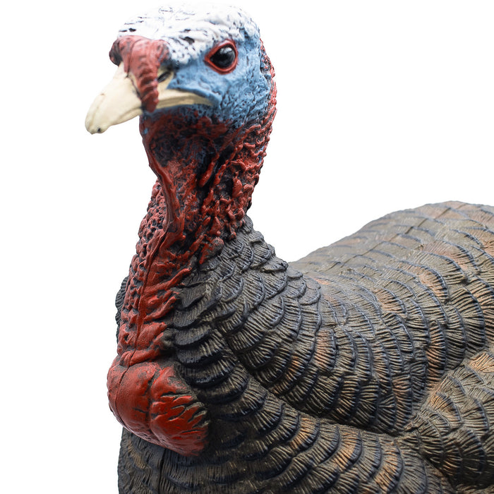 Live Jake Turkey Decoy with Flocked Back