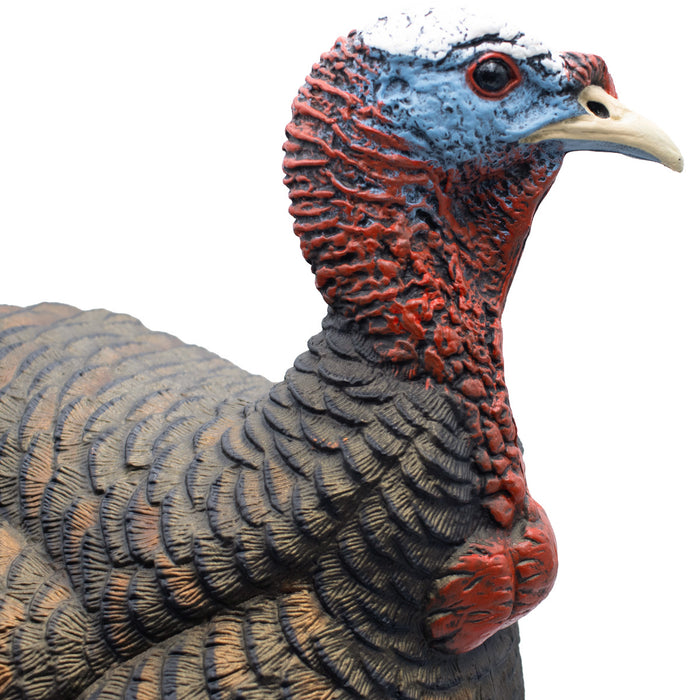 Live Jake Turkey Decoy with Flocked Back