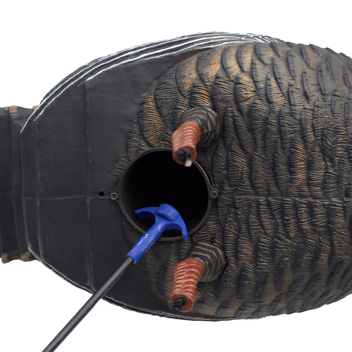 Live Jake Turkey Decoy with Flocked Back