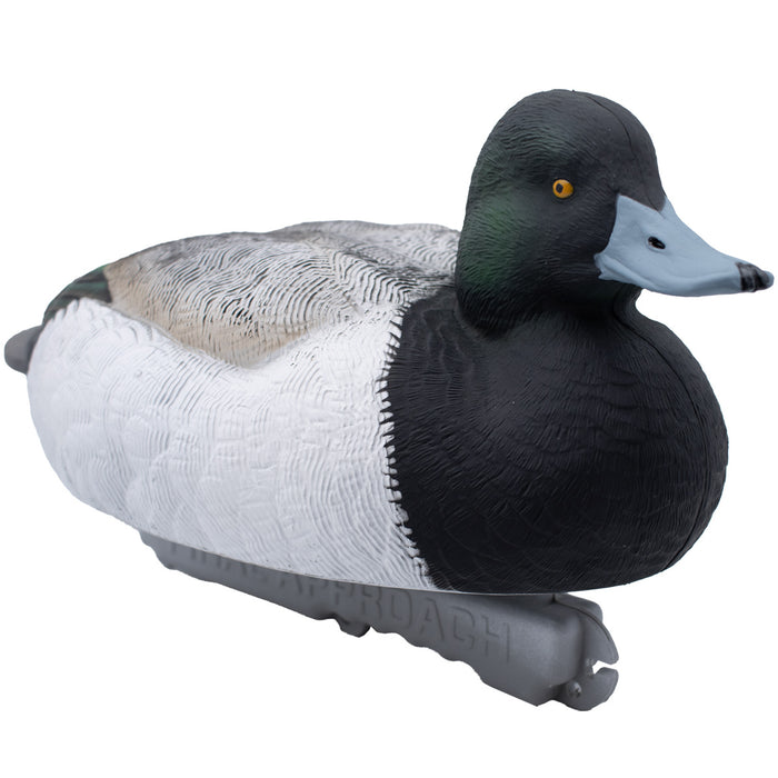 LIVE Foam Filled Drake Diver Duck Decoys - 12 Pack