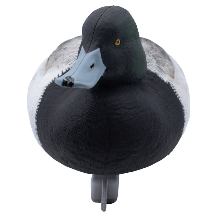 LIVE Foam Filled Drake Diver Duck Decoys - 12 Pack