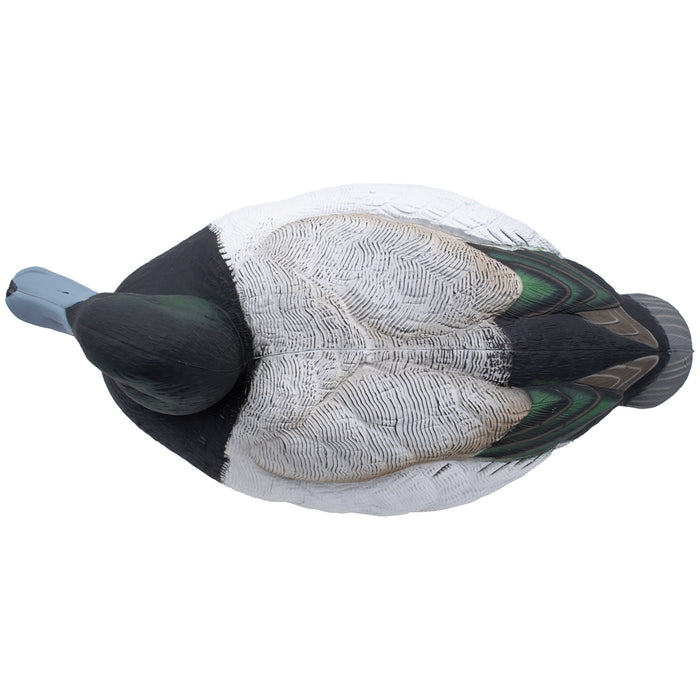 LIVE Foam Filled Drake Diver Duck Decoys - 12 Pack