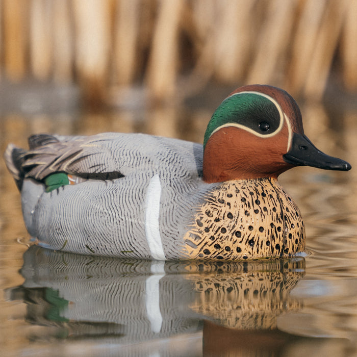 HD Greenwing Teal Floaters - 12 Pack