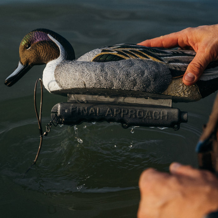 LIVE Pintail Floaters - 6 Pack