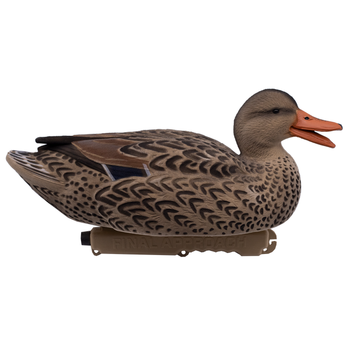 LIVE Fully Flocked Floating Mallards - 6 Pack