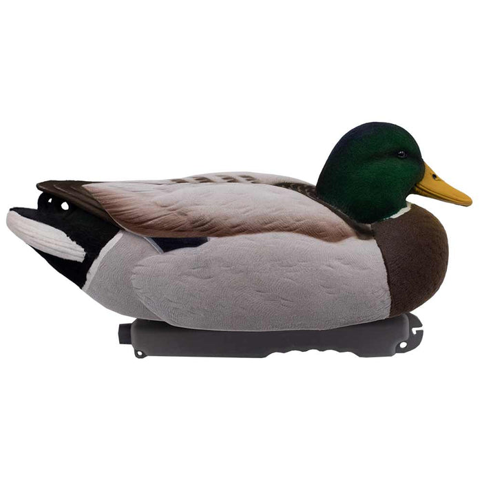 LIVE Fully Flocked Floating Mallards - 6 Pack