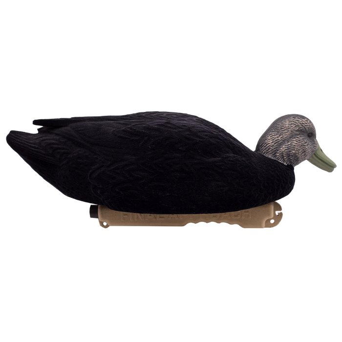 LIVE Flocked Floating Black Ducks - 6 Pack