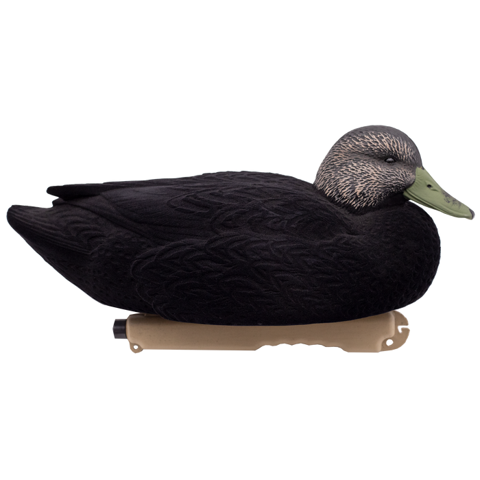 LIVE Flocked Floating Black Ducks - 6 Pack