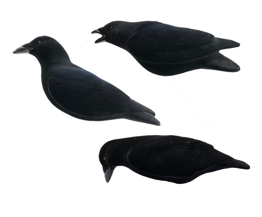 Last Pass Fully Flocked Crows - 3 Pack