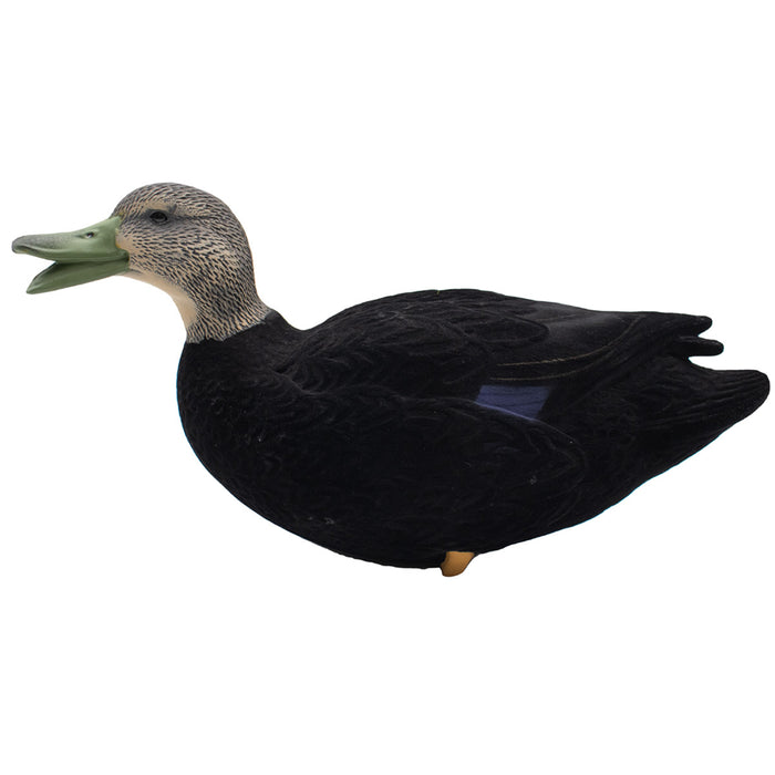 LIVE Flocked Full Body Black Duck Decoys - 6 Pack
