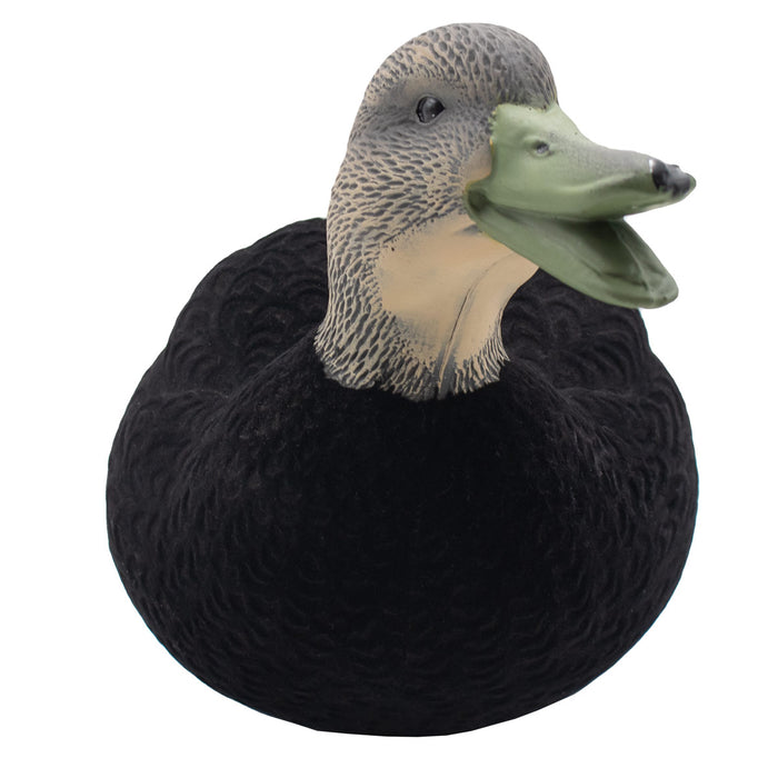LIVE Flocked Full Body Black Duck Decoys - 6 Pack
