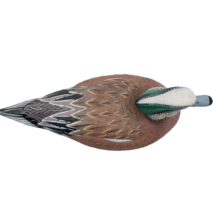 LIVE Floating Wigeons - 6 Pack