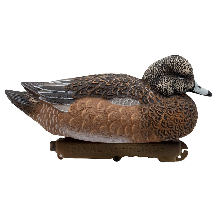 LIVE Floating Wigeons - 6 Pack