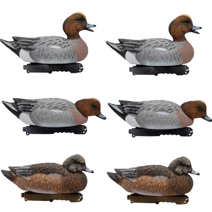 LIVE Eurasian Wigeon Decoys - 6 Pack