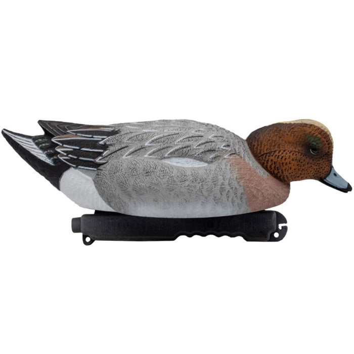 LIVE Eurasian Wigeon Decoys - 6 Pack
