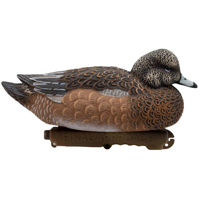 LIVE Eurasian Wigeon Decoys - 6 Pack