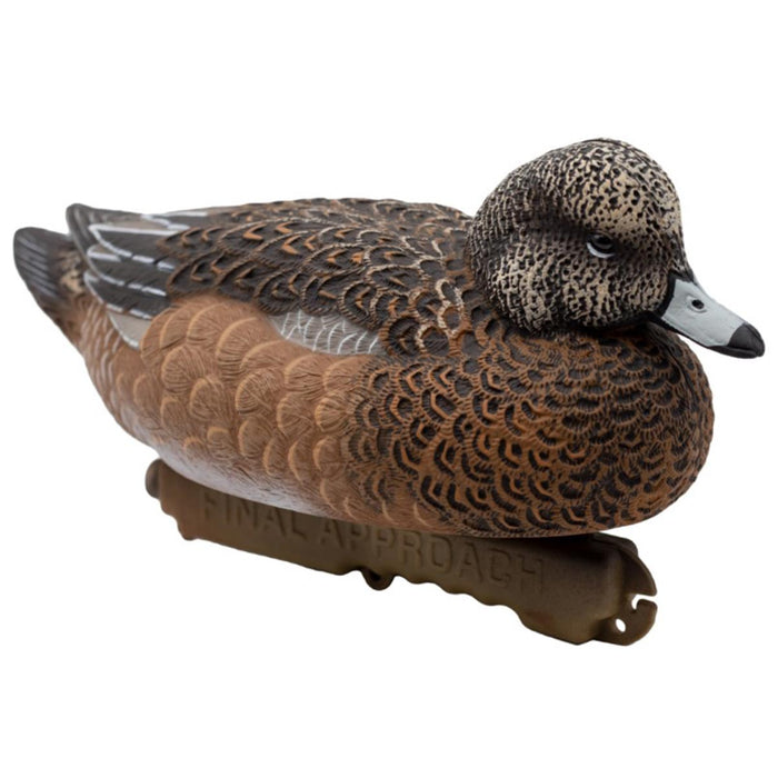 LIVE Eurasian Wigeon Decoys - 6 Pack