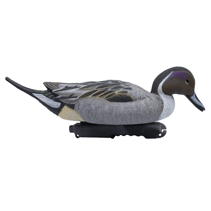 LIVE Pintail Floaters - 6 Pack