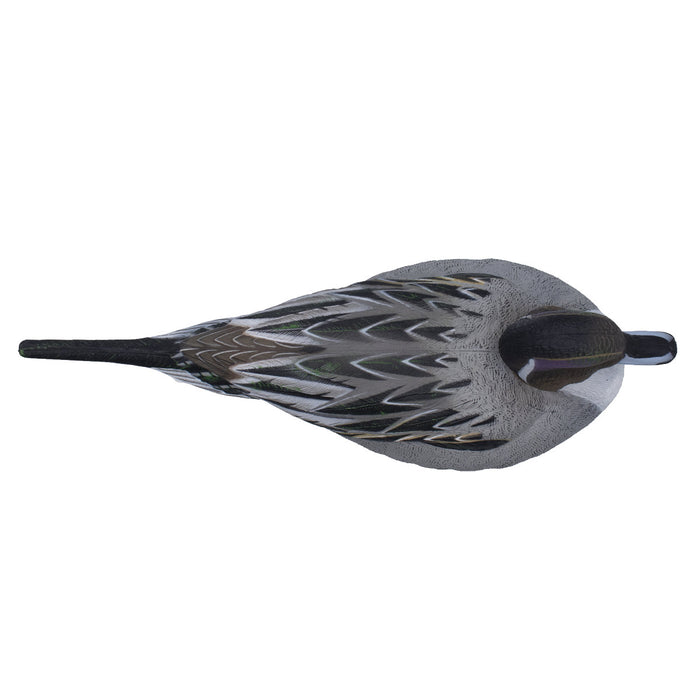 LIVE Pintail Floaters - 6 Pack