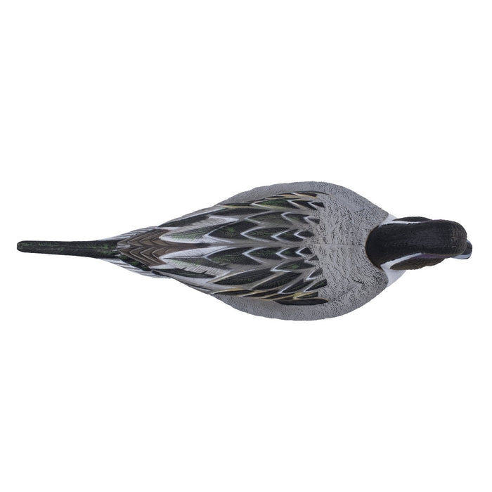 LIVE Pintail Floaters - 6 Pack