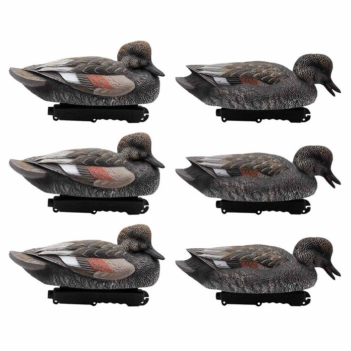 LIVE Gadwall Floaters - 6 Pack